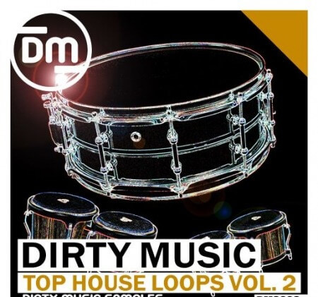 Dirty Music Top House Loops Vol. 2 WAV